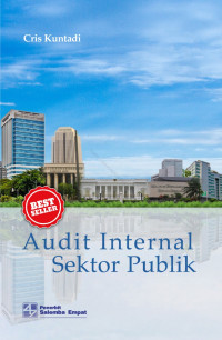 audit internal sektor publik